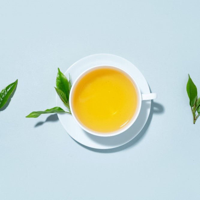 How do leaves of the White Tea Plant Benefit Healthplatter