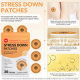 Stress Down Patches – Emotional Balance & Tranquility Health Platter (30-Day Supply) - COMING SOON