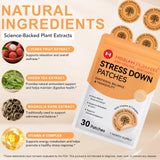 Stress Down Patches – Emotional Balance & Tranquility Health Platter (30-Day Supply) - COMING SOON